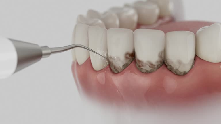 Reliable Dental contractor in Elmwood, IL by Dentist Open Now